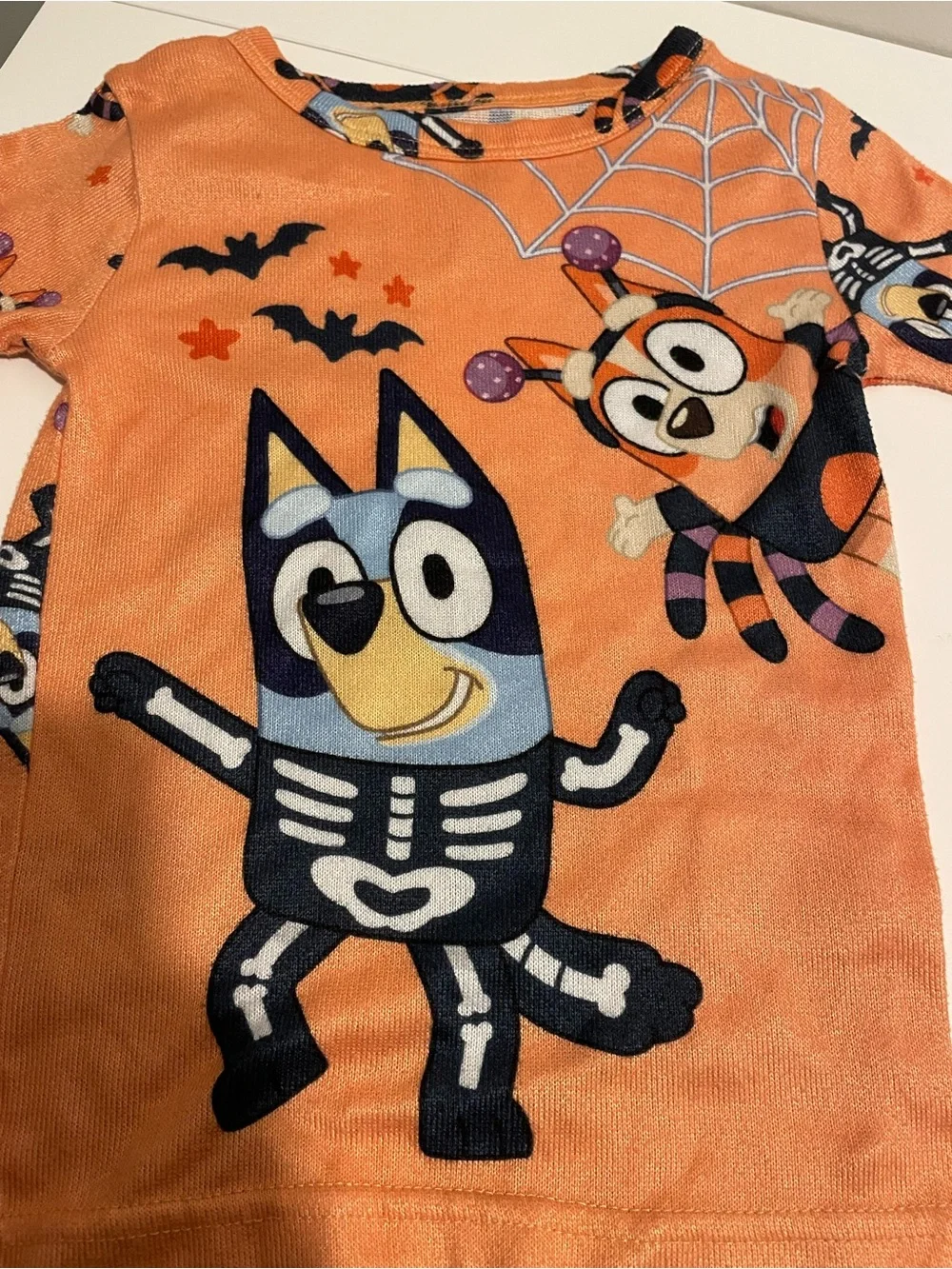 Bluey brand toddler